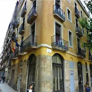 *** Гостевой дом Nou Raval Испания